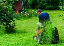 Kwikfynd Lawn Mowing
bimbimbie