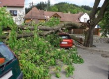 Kwikfynd Tree Cutting Services
bimbimbie
