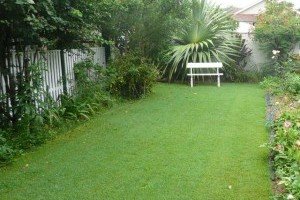 Landscaping Lawn and Turf